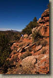 images/Trails/AZ07/AZ07-Sedona-11JAN07-06.jpg