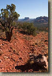 images/Trails/AZ07/AZ07-Sedona-11JAN07-12.jpg