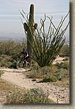 South Mountain in Phoenix AZ