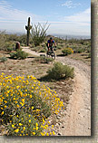 South Mountain in Phoenix AZ