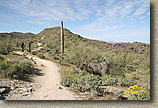 South Mountain in Phoenix AZ