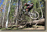 AZ 2010 - Flagstaff Part I