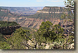 AZ 2010 - Rainbow Rim Trail