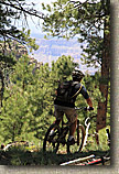 AZ 2010 - Rainbow Rim Trail