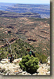 AZ 2010 - Rainbow Rim Trail