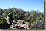 Photo from along the Bell Ridge Trail