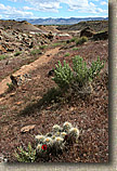 The Lunch Loops of Grand Junction