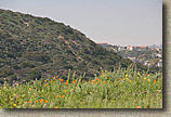 Lake Calvera