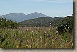 Caspers Wilderness Park