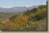 Caspers Wilderness Park