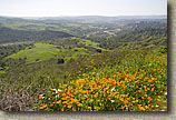 Caspers Wilderness Park