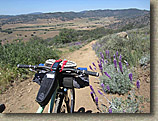 Coast To Crest Trail