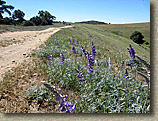 Coast To Crest Trail