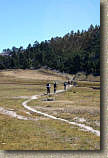 On the trail to Cusarara