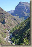 Copper Canyon Picture