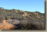 The Crestridge Ecological Reserve Area