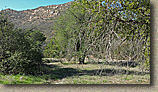 The Crestridge Ecological Reserve Area