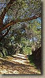 The Crestridge Ecological Reserve Area