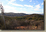 The Crestridge Ecological Reserve Area