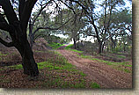 The Crestridge Ecological Reserve Area