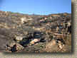 DaleyRanch-22NOV03-FireDamage-05.JPG (108289 bytes)