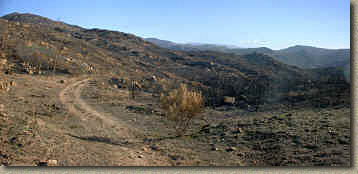 DaleyRanch-22NOV03-FireDamge-Pan3.jpg (510777 bytes)