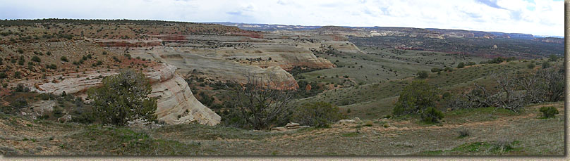 Picture of Rabbit Valley near Loma, CO