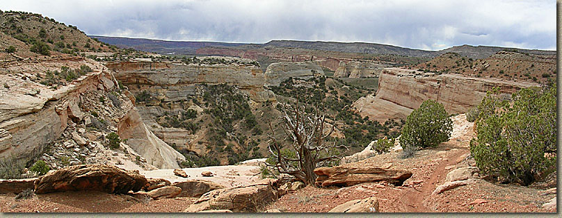 Picture of Rabbit Valley near Loma, CO