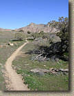 Bookcliffs in Fruita Pciture