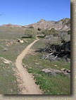 Bookcliffs in Fruita Pciture