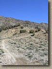 Bookcliffs in Fruita Pciture