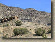 Bookcliffs in Fruita Pciture