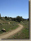 Bookcliffs in Fruita Pciture