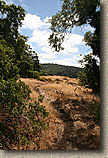 Golden Eagle Trail