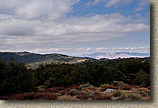 Golden Eagle Trail