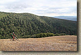 Golden Eagle Trail