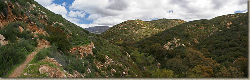 Hollenbeck Canyon