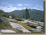 Idyllwild-13JUN03-01.JPG (103039 bytes)