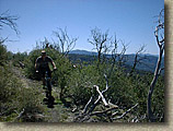 Idyllwild March 2003