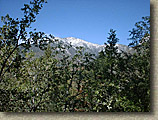 Idyllwild-22MAR03-10-ErnieMaxTrail.JPG (115197 bytes)