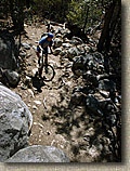 Idyllwild-22MAR03-16-ErnieMaxTrail.JPG (114881 bytes)