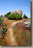 images/Trails/Idyllwild/Idyllwild-5JUN05-Pub-22.jpg