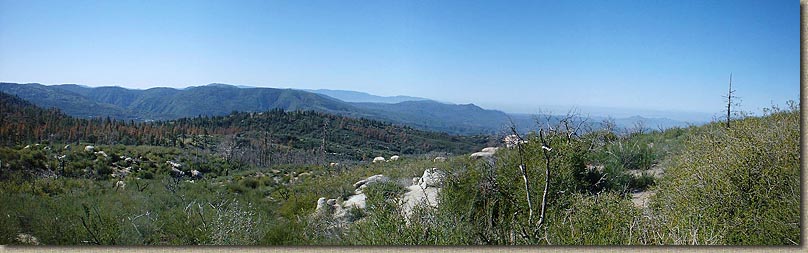 Idyllwild-Pan1.jpg (177681 bytes)