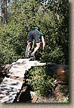 images/Trails/Idyllwild/IdyllwildMore/Idyllwild-03JUL05-14.jpg