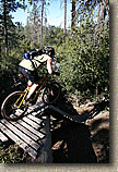 images/Trails/Idyllwild/IdyllwildMore/Idyllwild-03JUL05-19.jpg