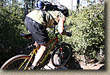 images/Trails/Idyllwild/IdyllwildMore/Idyllwild-03JUL05-29.jpg