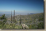 images/Trails/Idyllwild/IdyllwildMore/Idyllwild-03JUL05-39.jpg