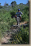 images/Trails/Idyllwild/IdyllwildMore/Idyllwild-03JUL05-40.jpg