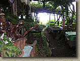 LakeAshi-3AUG04-08.JPG (119841 bytes)