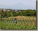 MtFuji-Summer2004-FromMuira.jpg (312829 bytes)